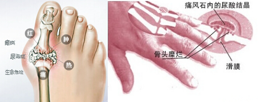 QQ截图20160409104238.jpg