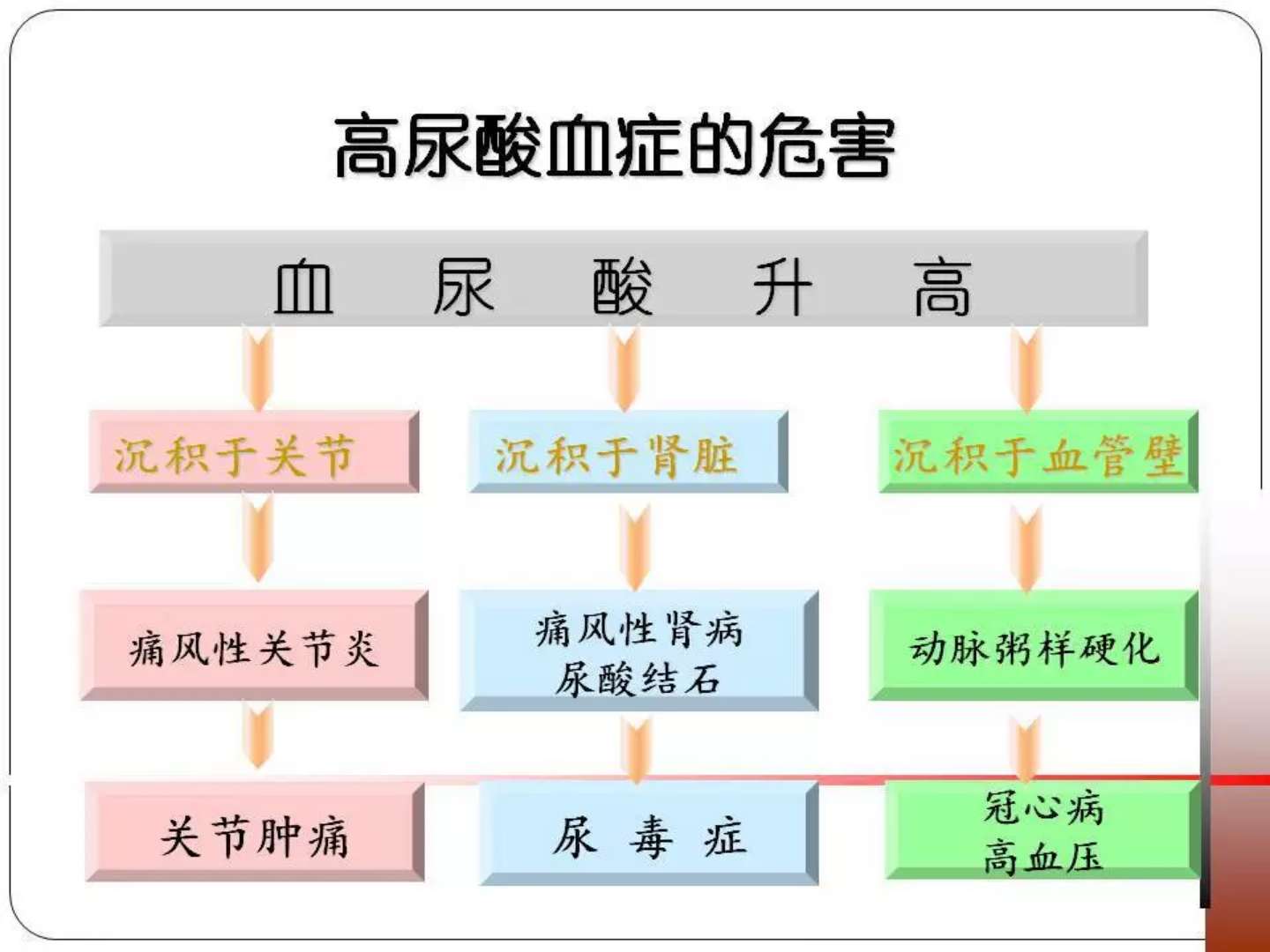 尿酸危害.jpg